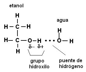 Porque Se Dice Que El Agua Es Una Sustancia Polar