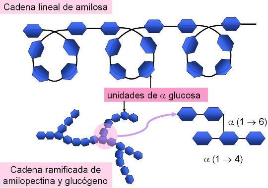 Qué son los grupos de presión de agua y en qué se diferencian?