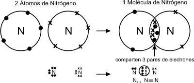 Fig. 2.3- Ejemplo de unión covalente