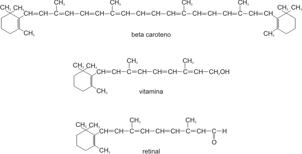 Fig. 2.22 - Ejemplos de Terpenos