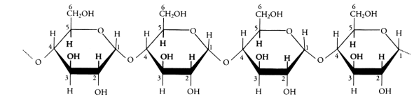 Fig. 2.28 - Amilosa (uniones a-1,4)