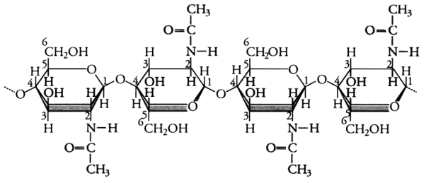 Fig. 2.33- Quitina