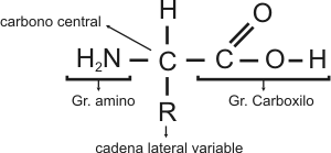 Fig. 2.51 - Fórmula general