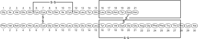 Fig. 2.55 - Estructura primaria de las dos cadenas polipeptídicas que componen la insulina. La estructura primaria es la secuencia lineal de aminoácidos, cada uno de los cuales está representado en el diagrama por un óvalo. La letra en el interior de los óvalos son los símbolos que indican el nombre de los aminoácidos. La insulina es una proteína muy pequeña.