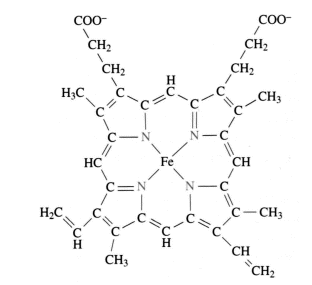 Fig. 2.59 - Grupo Hemo, presente en la hemoglobina y la mioglobina.