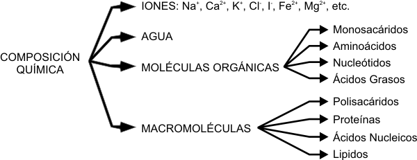 Cuadro 2.1- Composición química de la materia viva