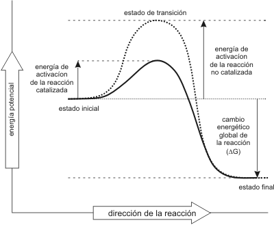 energia de activacion account