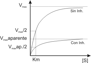 Cuadro de texto:   
Fig. 3.11 - Perfil de una reaccin en presencia de  inhibidor NO COMPETITIVO y sin inhibidor
