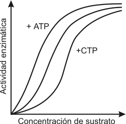 Cuadro de texto:  

Fig. 3.14 - Curva de saturacin de 
una enzima alostrica.
