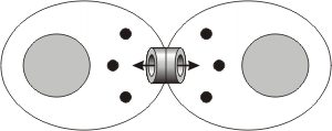 Fig. 7.3- Inducción via uniones gap 