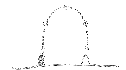 Fig. 12.12 - Efecto hipotético de la topoisomerasa II para evitar el superenrollamiento que se produce en el ADN como consecuencia de la separación progresiva de sus cadenas.