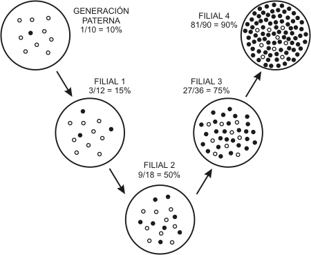 Fig. 15.2 – Reproducción diferencial.